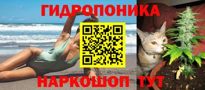 дживик Пушкино