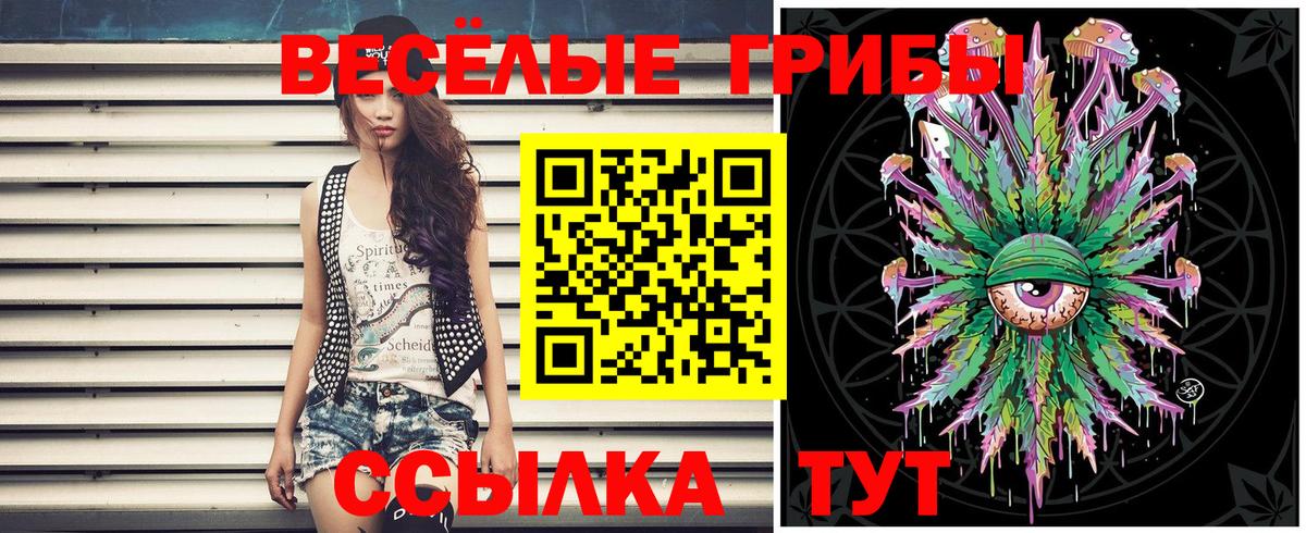 Славянск-на-Кубани  Псилоцибиновые грибы мухоморы  Псилоцибиновые грибы прущие грибы  Вход с VPN 
