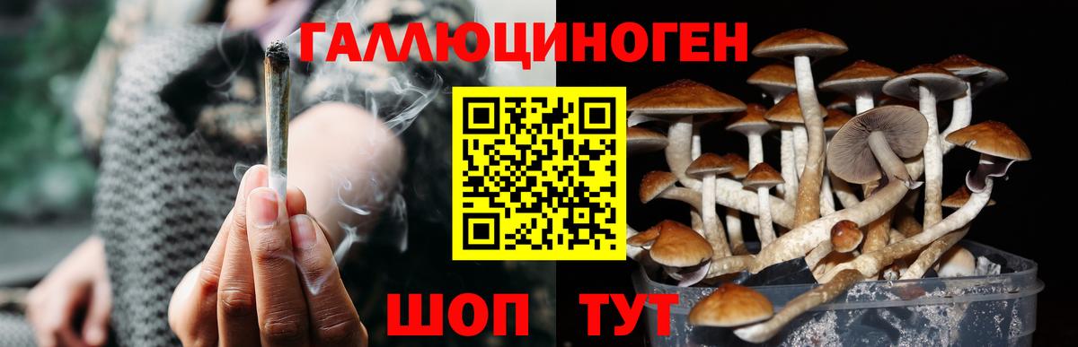 Псилоцибиновые грибы ЛСД Славянск-на-Кубани